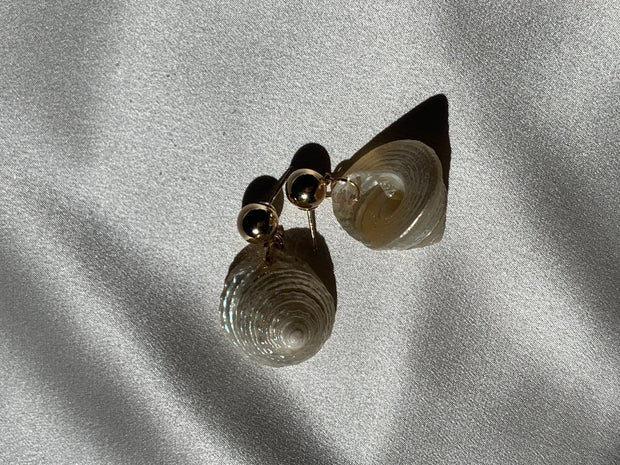 Lovisa Conch Shell Earrings